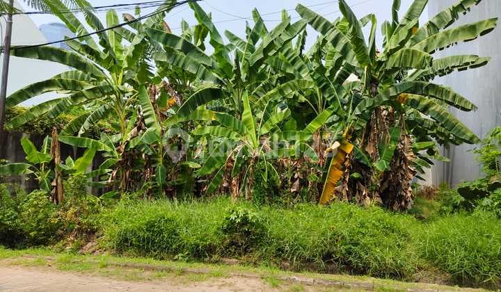 Di Jual Kavling Siap Bangun dengan Harga DIBAWAH NJOP - SHM