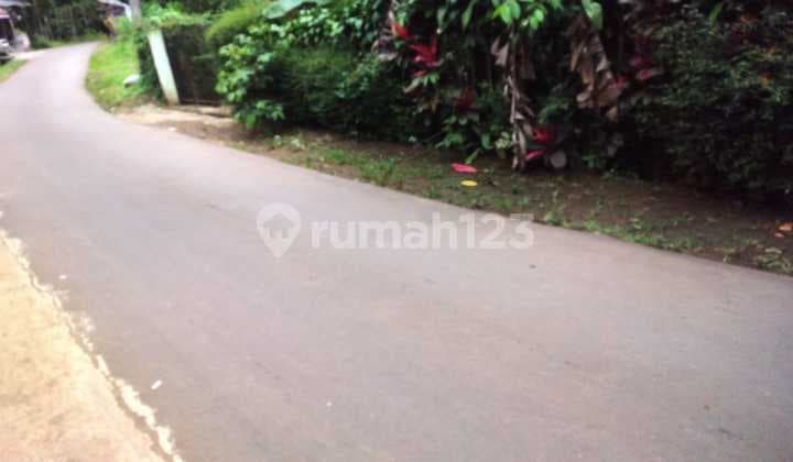 Dijual Lahan Kebon Produktif di Bogor