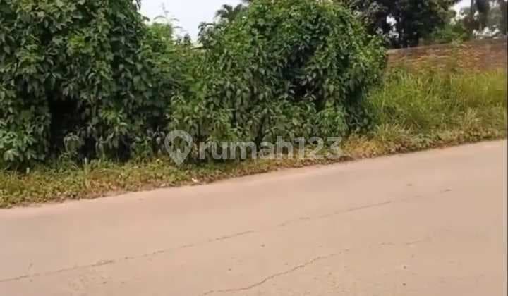 Tanah Murah bisa Dinego di Cikarang Barat 5 Ha SHM Akses Dkat Tol