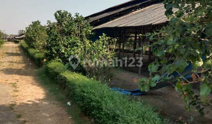 Prime Land for Sale in Bantar Gebang Cimuning, 5.5 Hectares, SHM Certified, Already Neat.