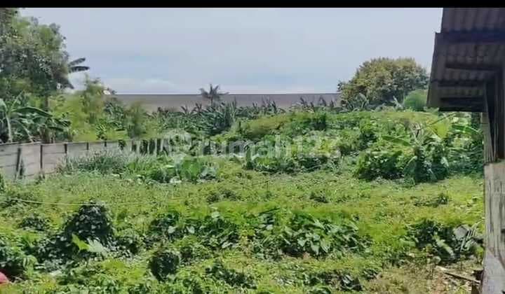 Dijual/Sewa Tanah di Ciracas Tb Simatupang 1900 M2 Pembeli Terima SHM