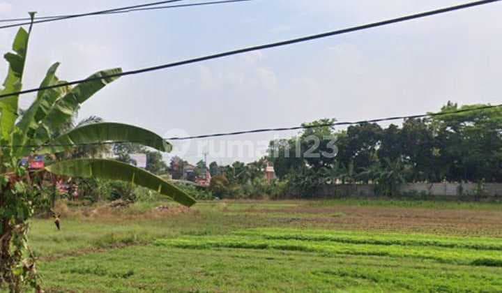Dijual cepat tanah cileungsi