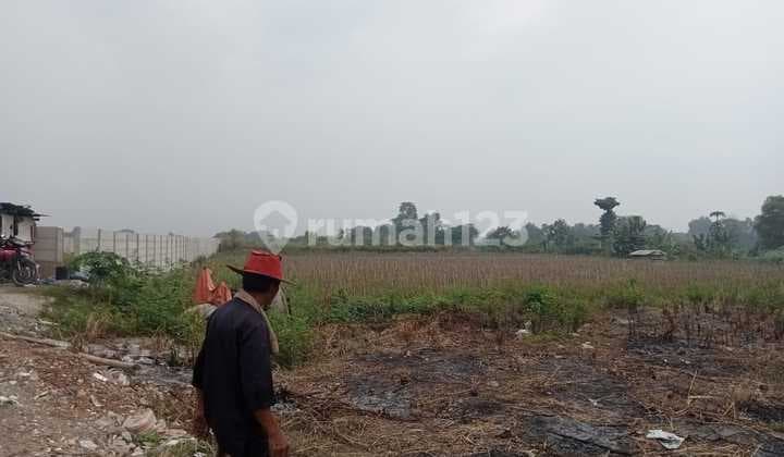 Dijual Tanah Pinggir Jalan Karawang Barat 1 Hektar SHM bisa pecah harga Nego