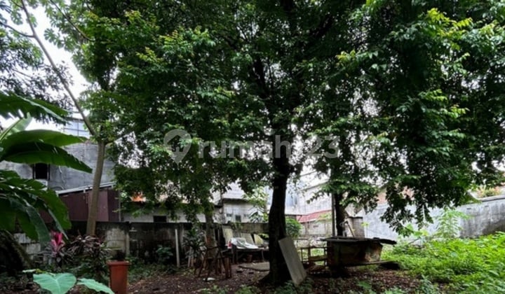 Di Jual Tanah Luas dan Murah di Pondok Labu