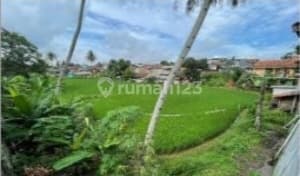 Di Jual Tanah Beserta Bangunan