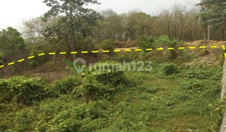 Di Jual Tanah Murah di Bogor