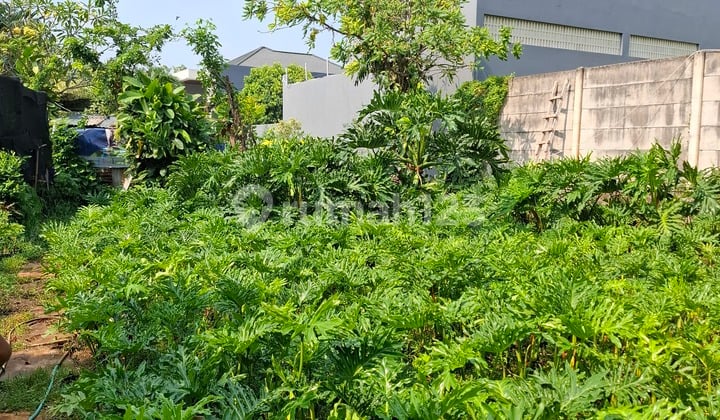Dijual Tanah Kavling Kebon Jeruk Jakarta Barat