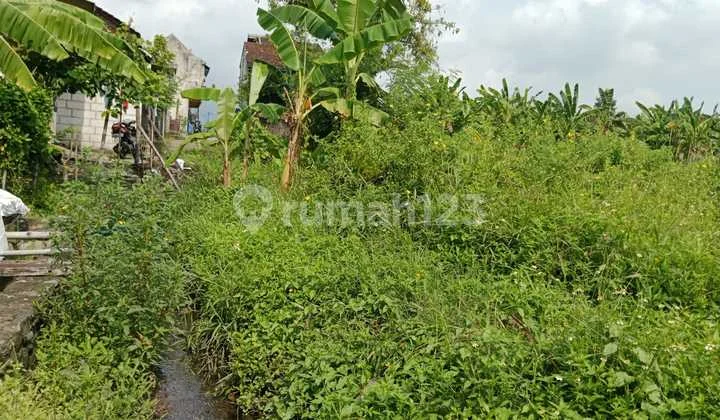 Dijual Murah Tanah Pandegelan Pandaan Dekat Kawasan Industti/Pabrik Cocok untuk Gudang atau Rumah Kos