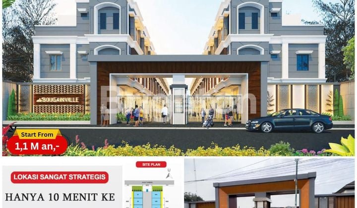 de' Bougainville Tuamang - Pancing kondisi Siap Huni