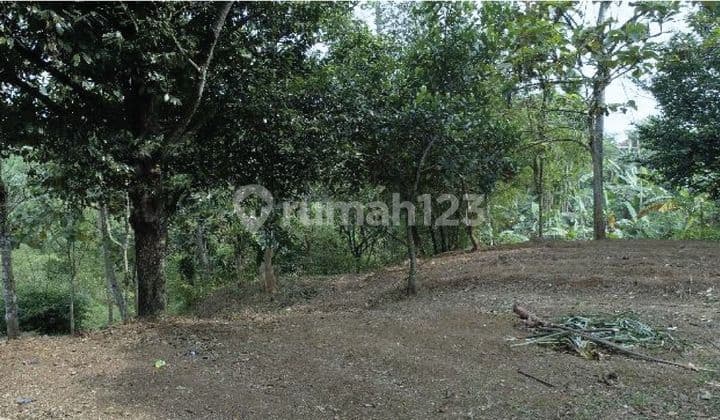 Tanah Komersil Pinggir Jalan Raya Cisalada Cigombong, Dekat Statiun Kereta.