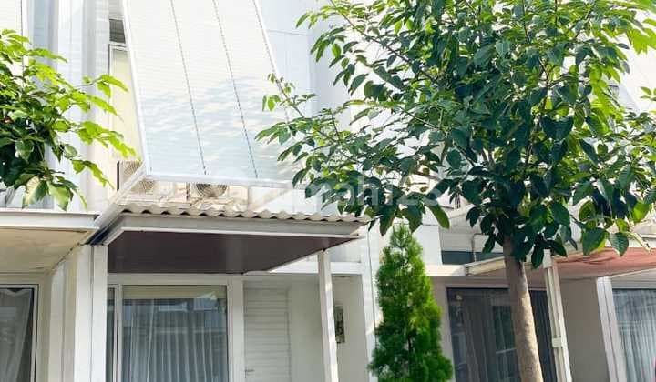 Japanese concept Tabebuya House BSD City Fully Furnished 1.4M Negotiable