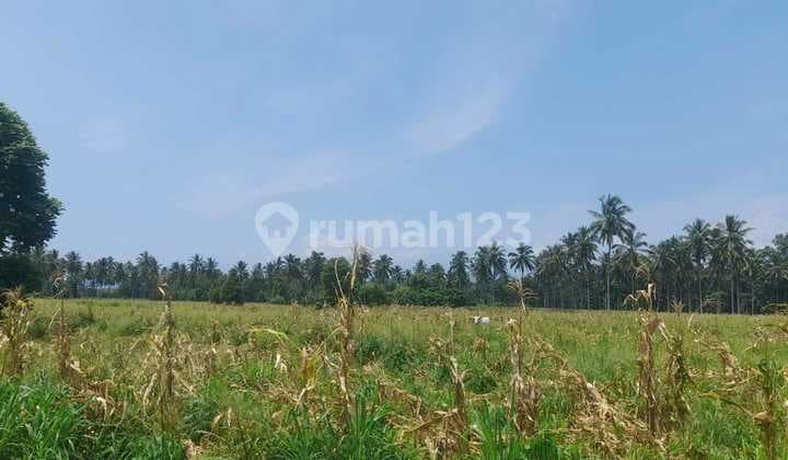 Dijual Tanah di Jalan Raya Manado Bitung Kauditan Watudambo Kawasan Industri Kabima Sulawesi Utara