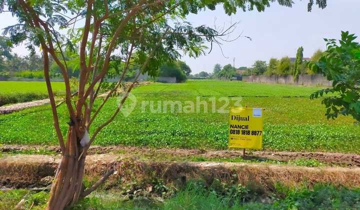 Dijual Tanah Di Tipar Cakung, Cilincing Hgb - Hak Guna Bangun 4.8 Ha Dibawah Njop