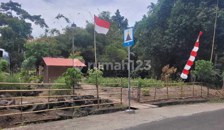 Tanah Kebun Di Pimpin Kema 1 Jalan Raya Kema Tanjung Merah Minahasa Utara Sulawesi Utara