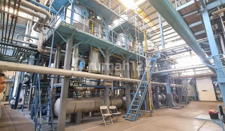 Below Market Price Sugar Factory in Singaparna, Tasikmalaya