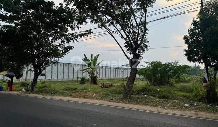 Dijual Tanah Industri Di Batang