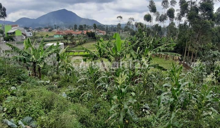 Tanah Pinggir Jalansetrategis Murah Dikawasan Wisata Ciwidey