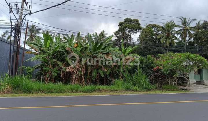Dijual Tanah 635.0 M² Shm Dekat Pabrik Coca Cola Mengwi Md