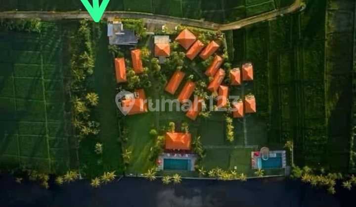 14.75 Are Land with SHM Certificate by Pasut Beach Tabanan Md