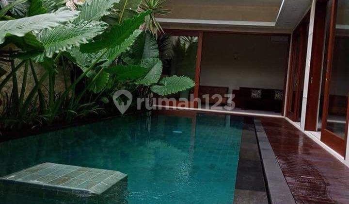 For Rent 3-Bedroom Villa with Rice Field View in Umalas DB