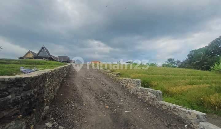 Tanah 37 Are Los Sungai Di Kaba Kaba Dekat Canggu Md