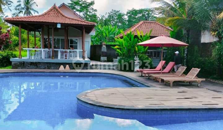Dijual 9 Unit Villa & 16 Kamar Resort Pemandangan Sawah Dekat Ubud Rc