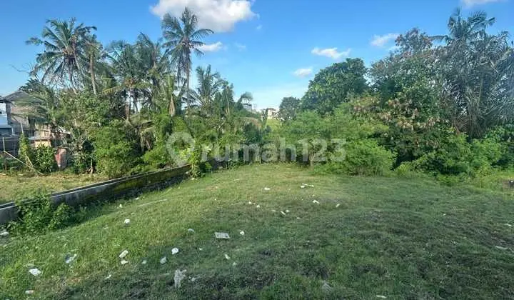 Dijual Tanah 6 Are View Sawah Dan Sungai Di Munggu Md