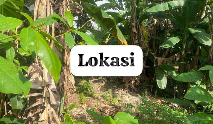 Disewakan Tanah 5 Are View Sawah Di Tumbak Bayuh Md