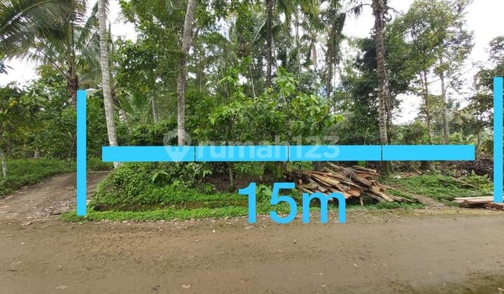 Land 120 Are Shm In Penebel Tabanan Dk