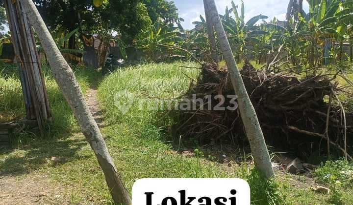 Dijual Tanah 12.76 Are Shm View Sawah Di Umalas Md