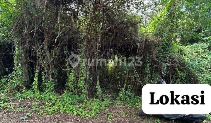 Dijual Tanah 1.1 Are Cocok Untuk Villa Shm Dekat Pantai Nyanyi Md