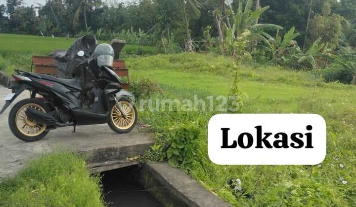 Dijual Tanah 3.5 Are Shm View Sawah Di Munggu Md