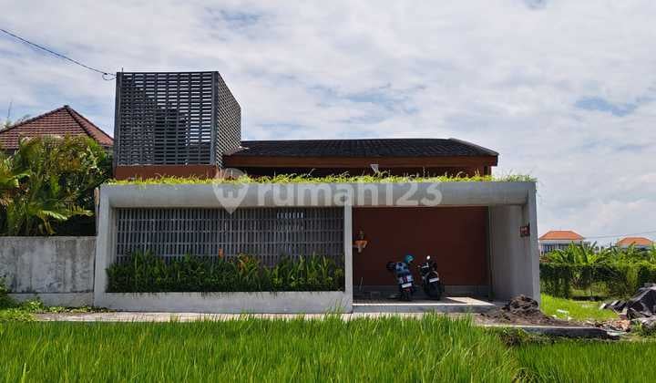 Luxury New Modern 2 Bedroom Villa with Private Pool in Pererenan Street