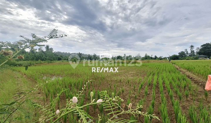 For Sale 5.8 Ha Land in Ciwaru - Resort / Healing Center