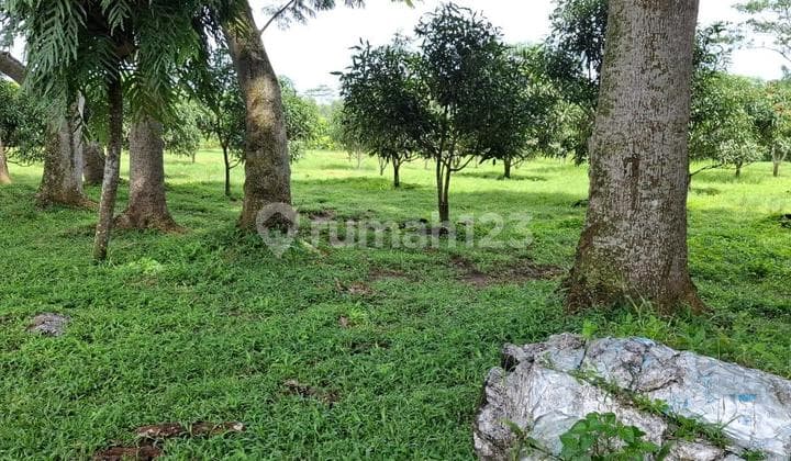Large Scale Industrial Land for Sale - Cikande Rangkasbitung