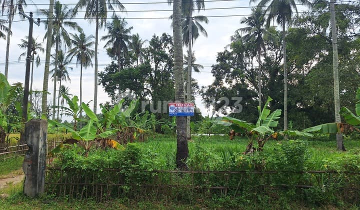 Dijual Tanah 5,8 Ha Ciwaru - Resort / Healing Center