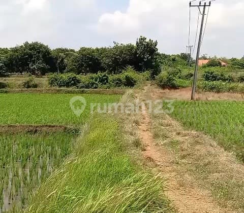 Dijual Tanah Strategis Subang - Dekat Smartpolitan & Kawasan Industri