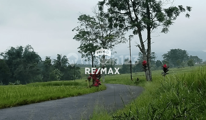 Land area of 2,010 m² in Subang, suitable for slow living residences, garden houses, or family villas.