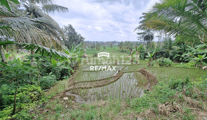 Dijual Tanah Strategis Pinggir Jalan Utama - Pelabuhanratu, Sukabumi