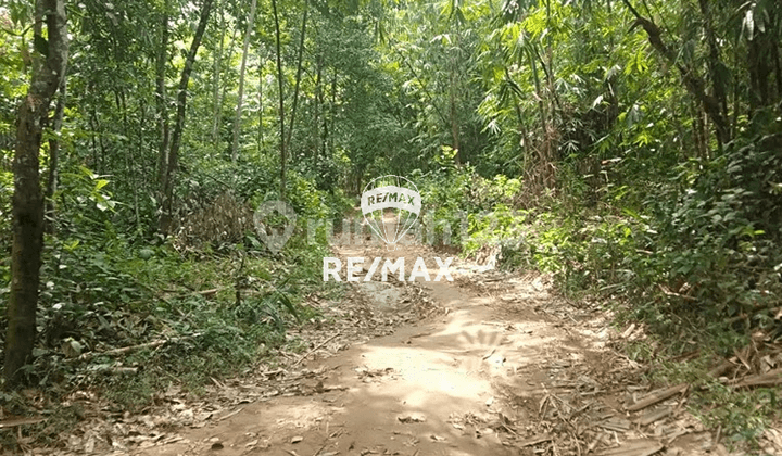 Lahan 43 Hektar Jonggol - Hanya 85 Ribu Per Meter (Bu)