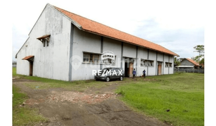 For Rent / For Sale Strategic Warehouse - Mundu Cirebon (Near Kanci Toll Road)