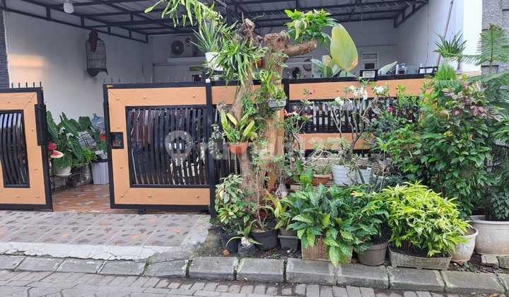 Dijual Rumah Mungil Siap Huni