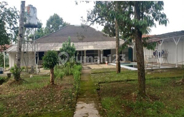 Bu Rumah Dengan Halaman Luas di Pinggiran Bogor Cocok Untuk Villa