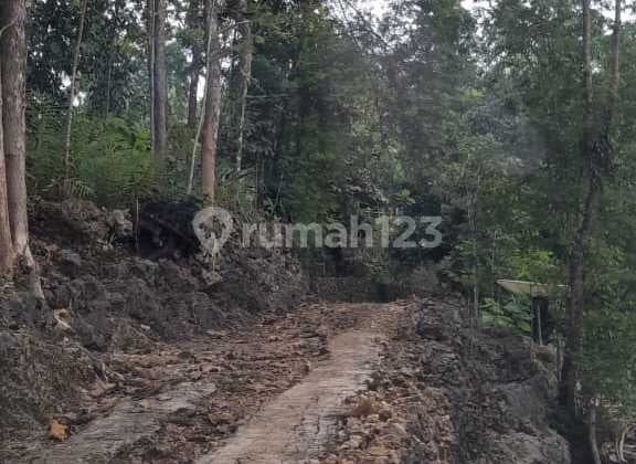 Jual Cepat Tanah Di Yogyakarta Pinggir Pantai Gunung Kidul