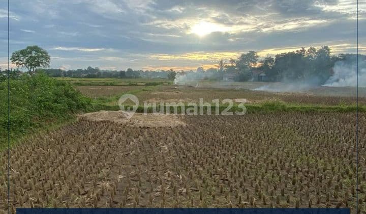 Dijual Cepat Tanah Padat Sawah di Tangerang
