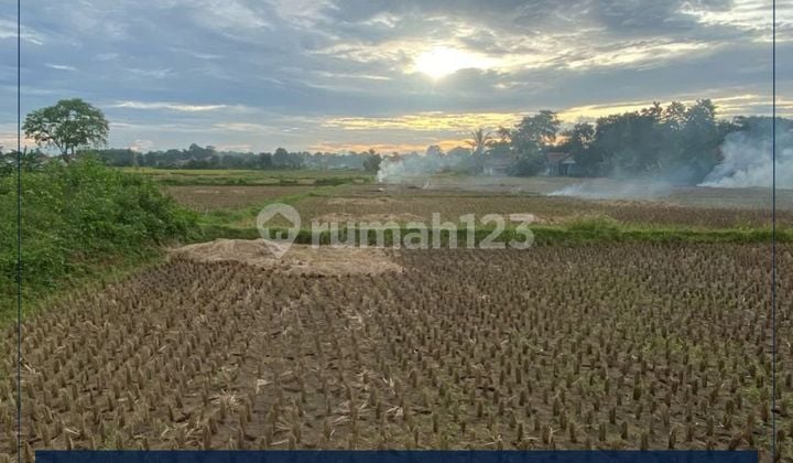 Dijual Cepat Tanah Padat Sawah di Tangerang