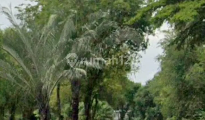Jual Kavling Tanah Hook di Bpr Lippo Karawaci Tangerang