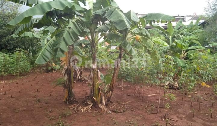 Disewakan Kavling Komersil Sunter, Jakut