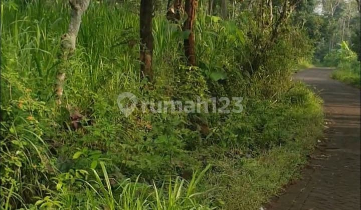 Tanah Raya Ngembal-Tutur Nongkojajar