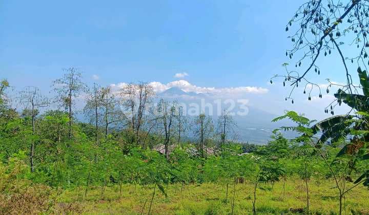 MURAH !! TANAH RAYA NGEMBAL, TUTUR NONGKOJAJAR